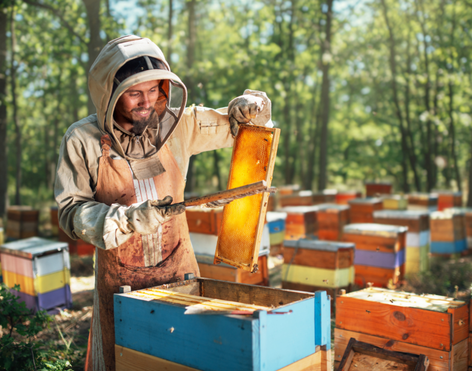 Cómo proteger a las abejas